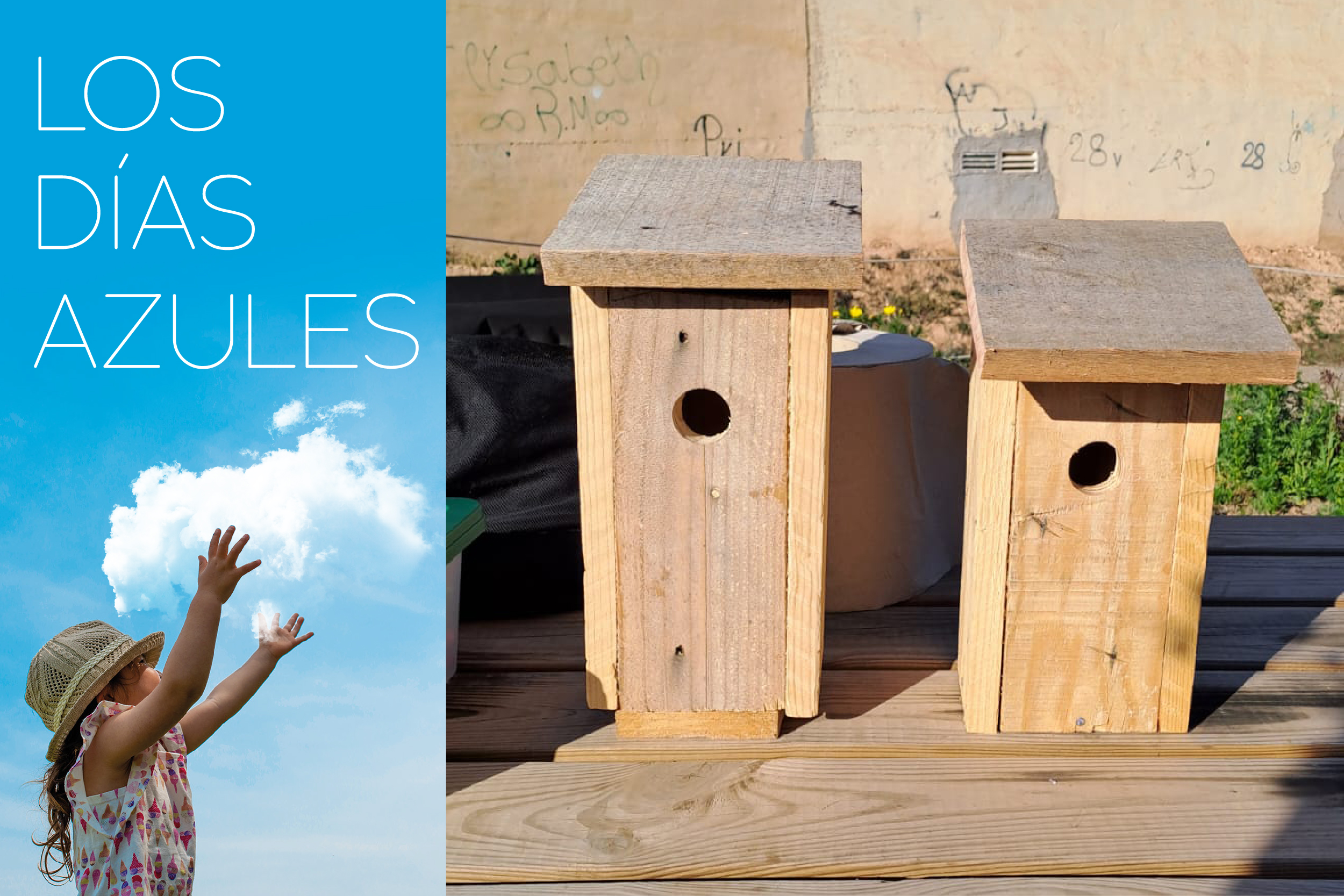 LOS DIAS AZULES: Taller de Ecología. Creación de cajas nido. El Albujón