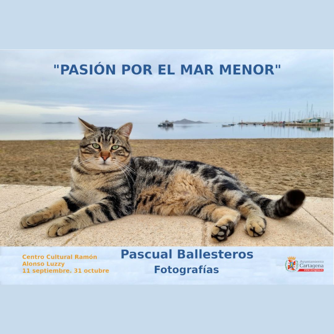 EXPOSICIN FOTOGRFICA: 'PASIN POR EL MAR MENOR'.  CENTRO CULTURAL RAMN ALONSO LUZZY