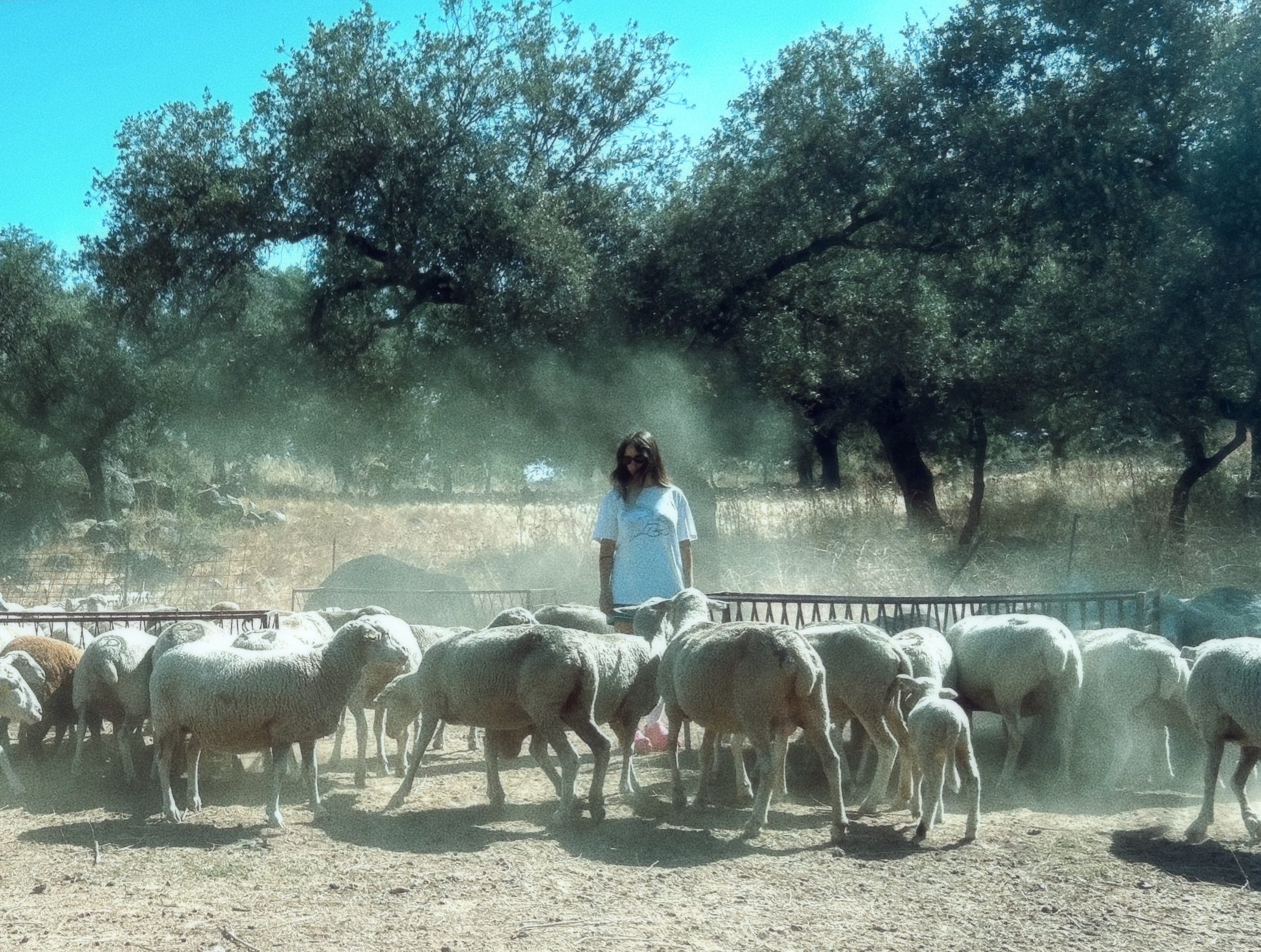 MUDANZAS: LAURA MORALES DVILA presenta 'SER PASTORA, PASTORA SER'. Muralla del Mar