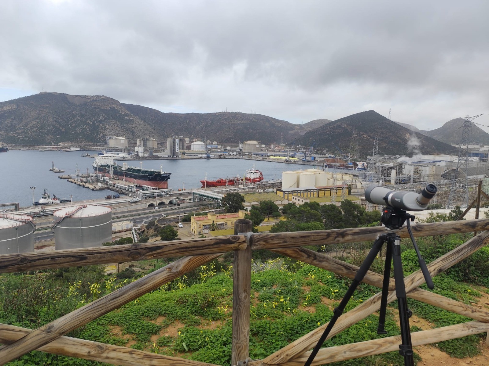 CARTAGENA PIENSA CICLO INICIACI�N A LA ORNITOLOG�A: FRANCISCO ROBLEDANO AYMERICH `BIODIVERSIDAD TERRESTRE EN LA FRONTERA DEL MAR: EL ENTORNO PORTUARIO DE CARTAGENA�